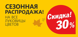 Предложения Сад и ремонт в Бауцентр в каталоге Балашиха