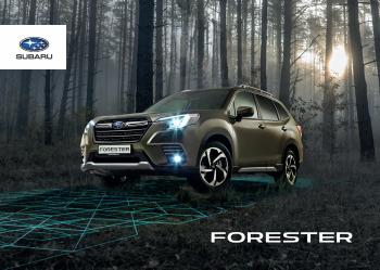 Предложения из Subaru в рекламном проспекте Subaru ( Более месяца)