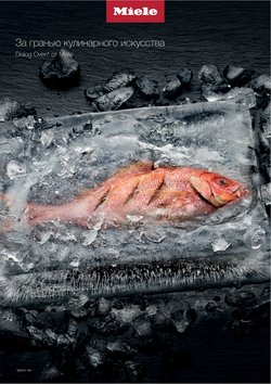 Предложения из Электроника в рекламном проспекте Miele ( Более месяца)