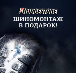 Преложения из Колесо в рекламном проспекте Химки