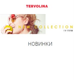 Преложения из Терволина в рекламном проспекте Санкт-Петербург